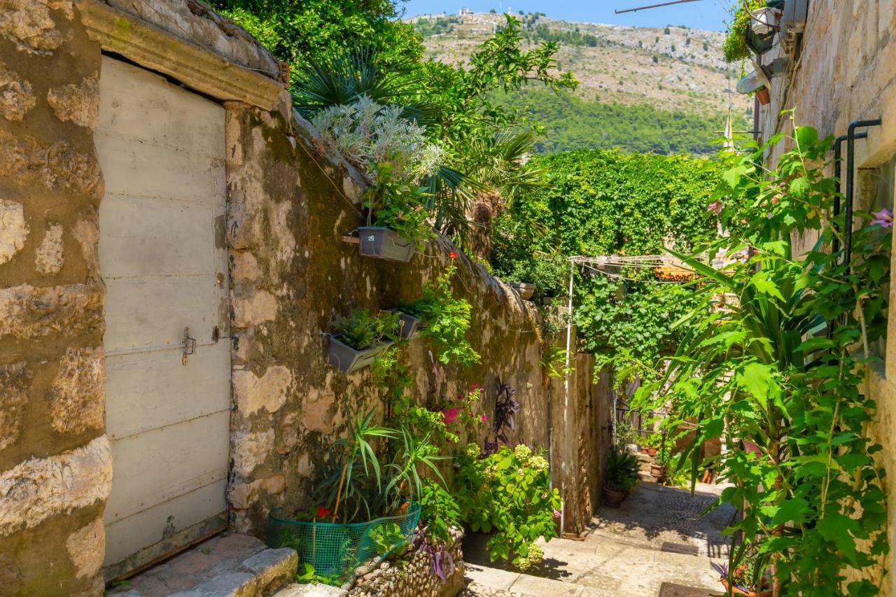Old Town House With Floor Heating & Lush Private Garden Villa Dubrovnik Luaran gambar