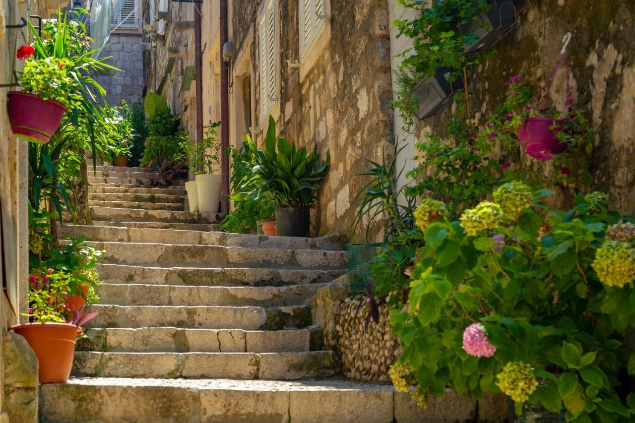 Old Town House With Floor Heating & Lush Private Garden Villa Dubrovnik Luaran gambar
